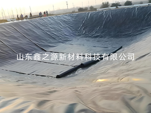 選擇防滲土工膜進(jìn)行小龍蝦養(yǎng)殖有哪些要點(diǎn)技巧？