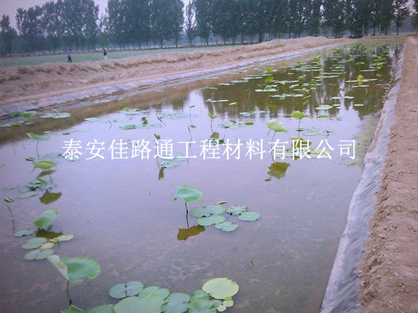 養(yǎng)殖防滲膜延伸率不足？根源在這些地方