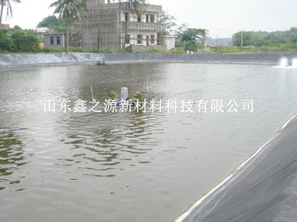 HDPE土工膜污水處理池護坡技巧：創(chuàng)新與實踐