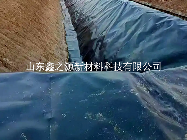 魚塘防滲膜焊縫漏了？這些檢測技巧一查一個準